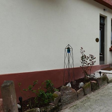 Le Gite Des Sources: Nature, Randonnees, Detente. Oberbronn Eksteriør billede