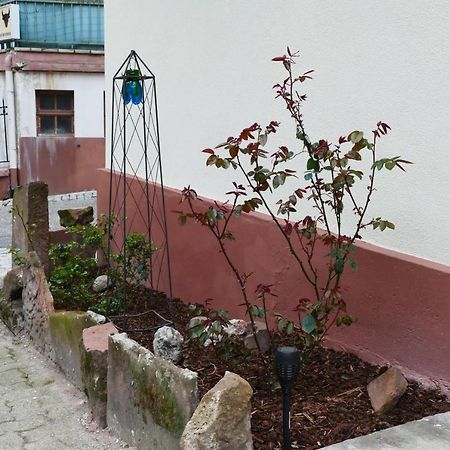 Le Gite Des Sources: Nature, Randonnees, Detente. Oberbronn Eksteriør billede