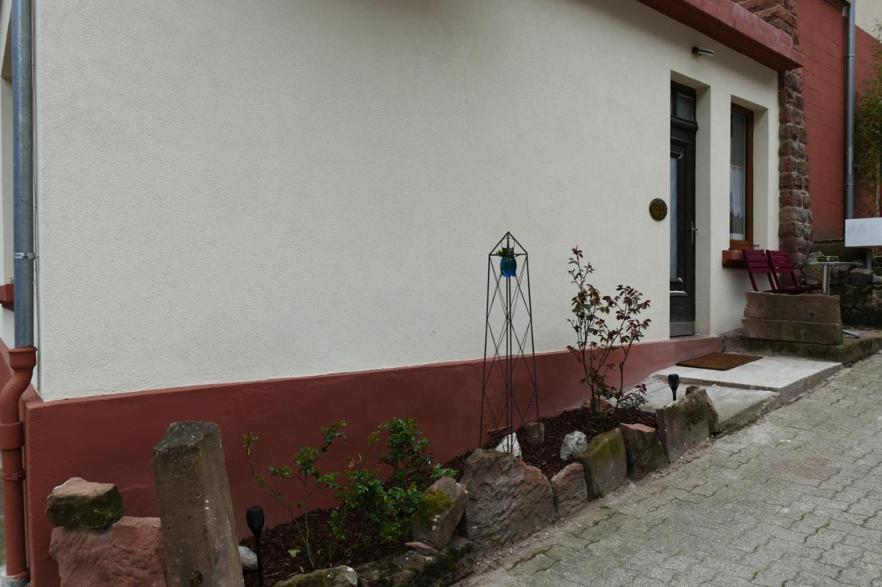 Le Gite Des Sources: Nature, Randonnees, Detente. Oberbronn Eksteriør billede