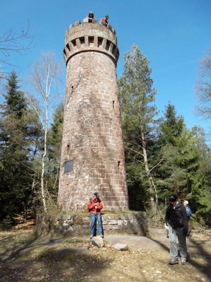 Le Gite Des Sources: Nature, Randonnees, Detente. Oberbronn Eksteriør billede